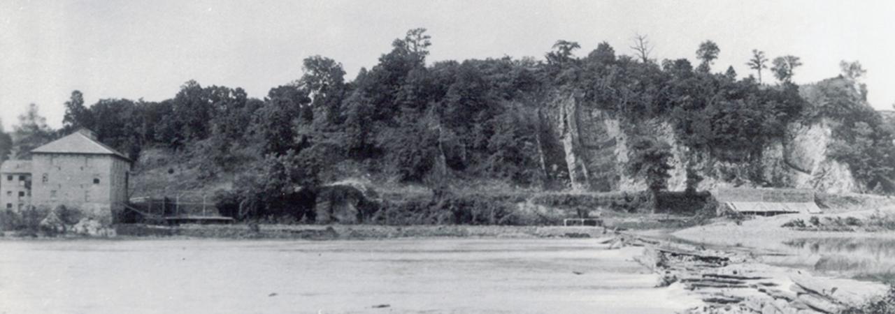 Photograph of the woods at Shepherdstown's battlefield